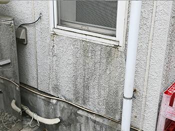 カビやコケが付着している​